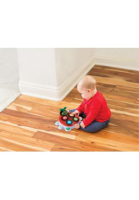 Hudobná lienka Alphabet & Colors