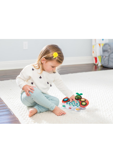 Hudobná lienka Alphabet & Colors