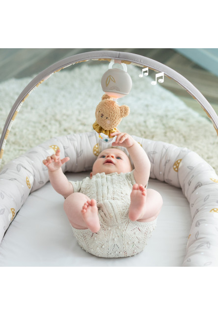 Hniezdo pre bábätko s hrazdou Little Explorer