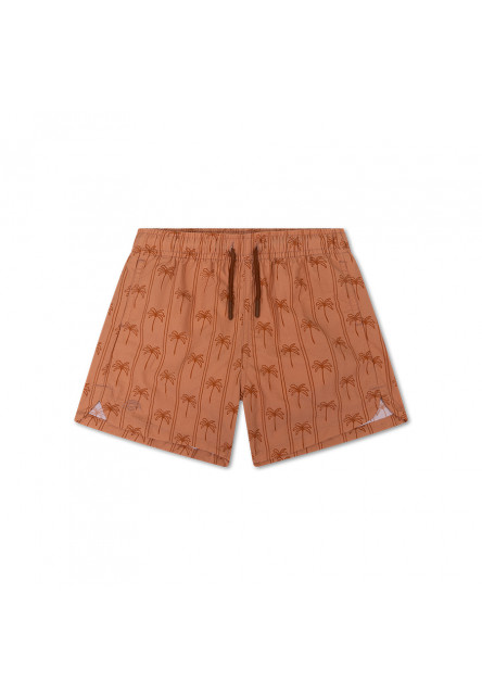 Plavecké šortky s UPF 50+ Palm Stripe