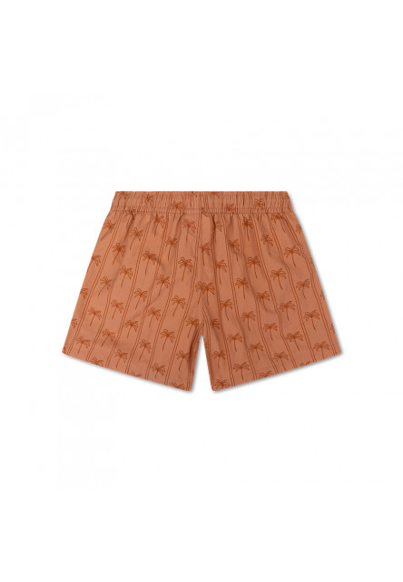 Plavecké šortky s UPF 50+ Palm Stripe