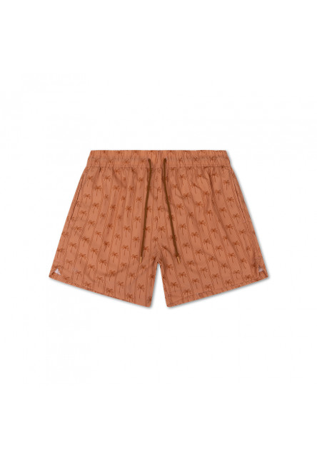 Pánske plavecké šortky s UPF 50+ Palm Stripe