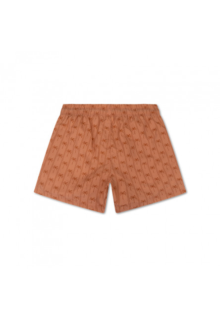 Pánske plavecké šortky s UPF 50+ Palm Stripe