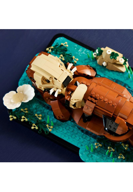 Plávajúce morské vydry