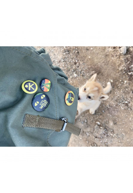 Terra Kids Adventure Odznaky