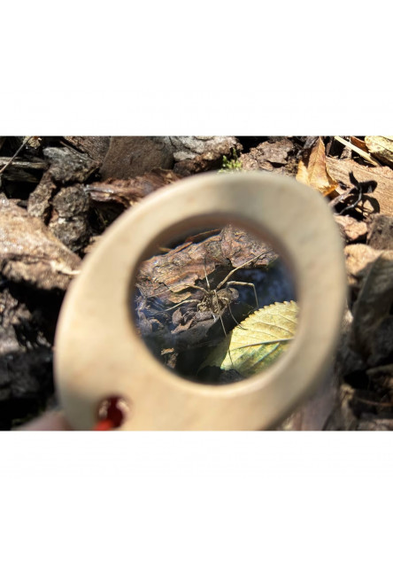 Terra Kids Adventure Kompaktné trio so skobou - kompas, lupa, teplomer