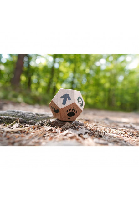 Terra Kids Adventure Zábava s hracou kockou pre 1 hráča alebo skupinu