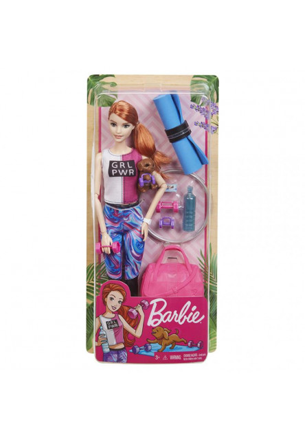 Barbie WELLNESS bábika asst 