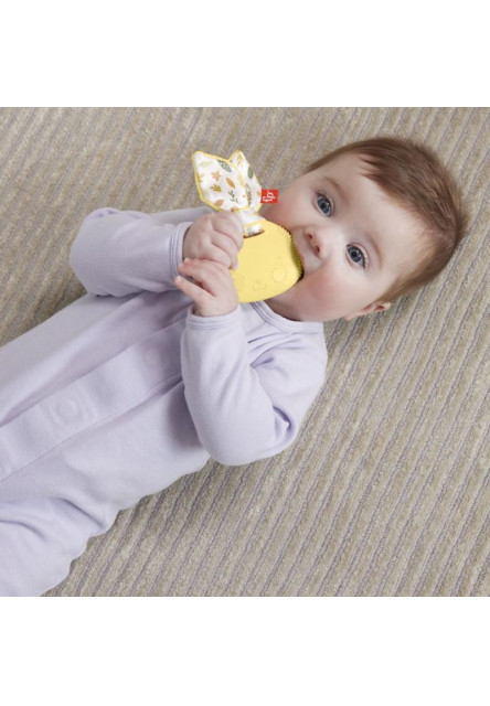 Fisher Price hrkálka/hryzátka asst 