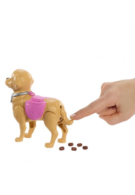 Barbie bábika so psíkom na prechádzke