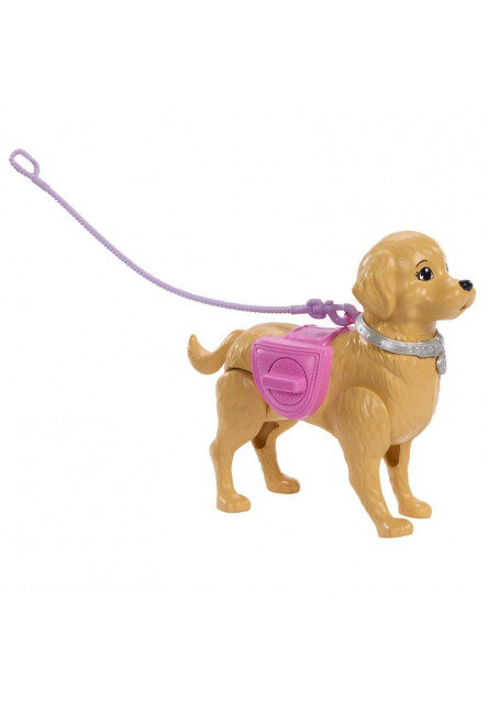 Barbie bábika so psíkom na prechádzke