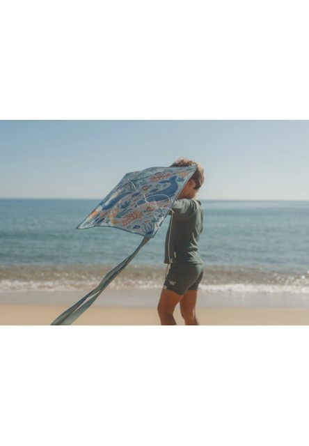 Lietajúci drak Ocean World