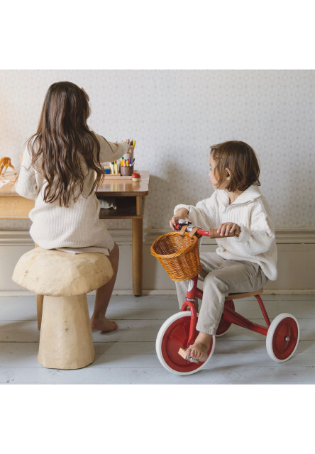 Banwood trojkolka (Forest)