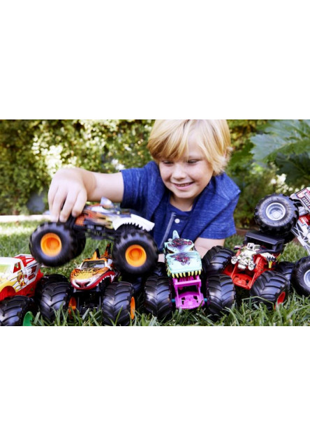 Hot Wheels MONSTER TRUCKS veľky truck asst 