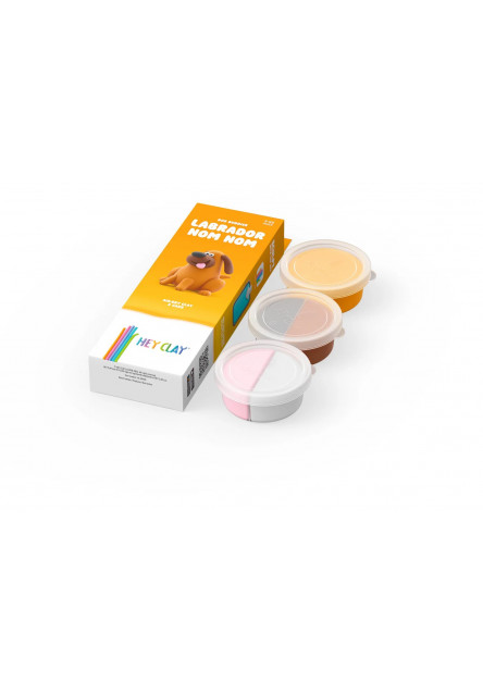 Hey Clay Psí kamaráti Labrador