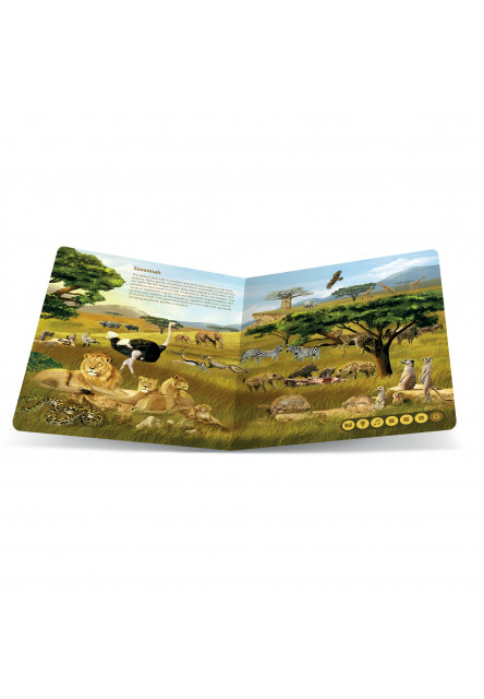 Tolki - Animal Kingdoms EN