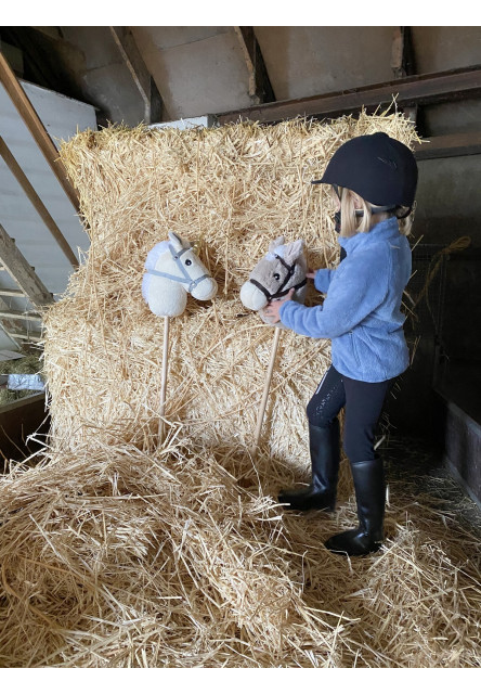 Hobby horse