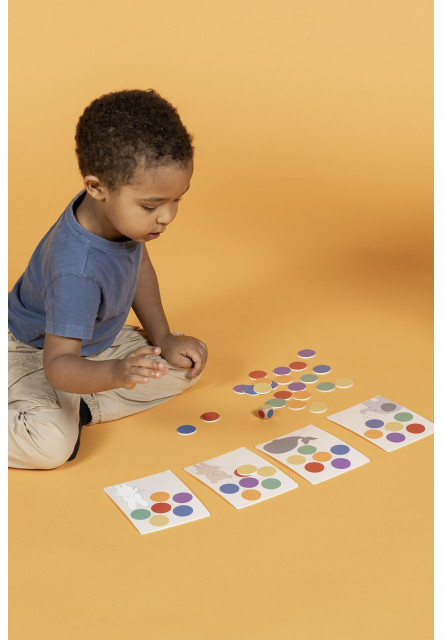 Play and Learn box Farby