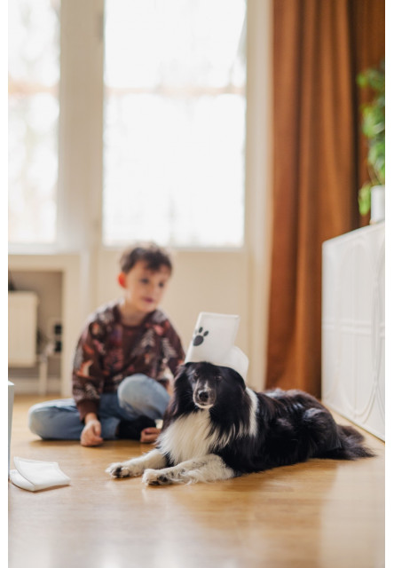 Set pre Veterinára