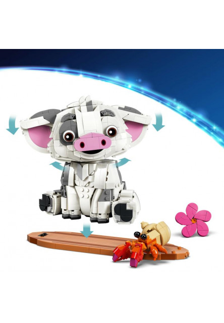 Pua