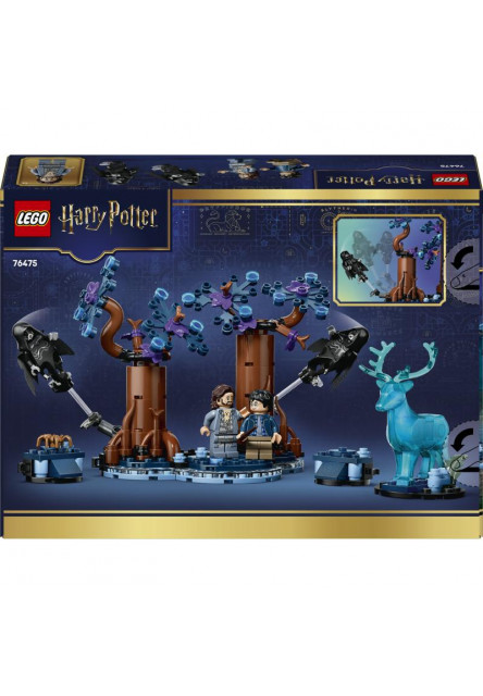 Zakázaný les: Expecto Patronum