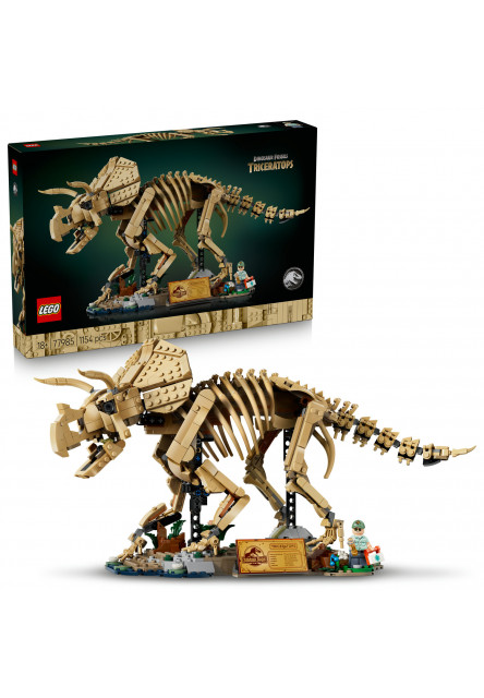 Dinosaurie fosílie: Triceratops