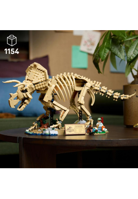 Dinosaurie fosílie: Triceratops