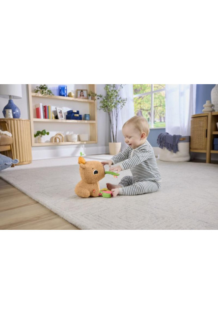 Fisher Price HEBKÁ DESIATA PRE KAPYBARU