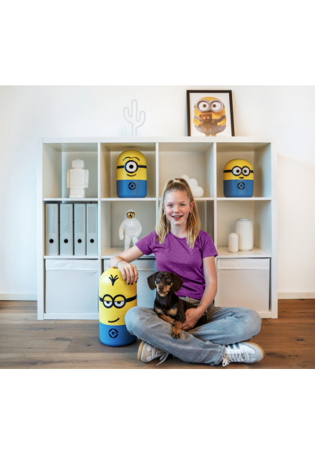 Uložný box Mimoň Bob