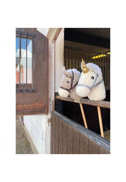 Hobby horse